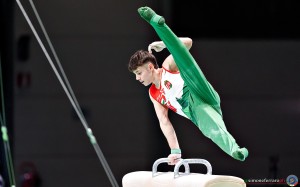 kis dominik hun dsc09392 copia simone ferraro ph